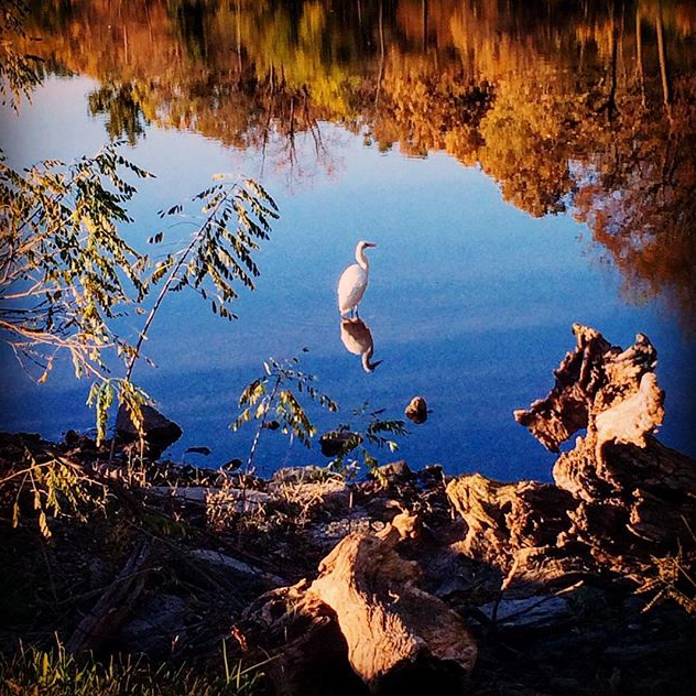 Fabyan Forest Preserve - @jansuffern